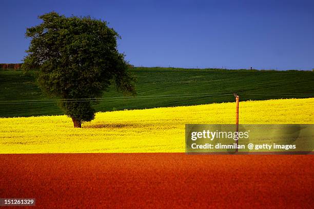 abstract landscape - dymock gloucestershire stock pictures, royalty-free photos & images