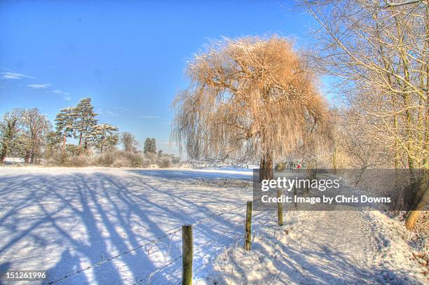 footpath in winter - wallingford fotografías e imágenes de stock