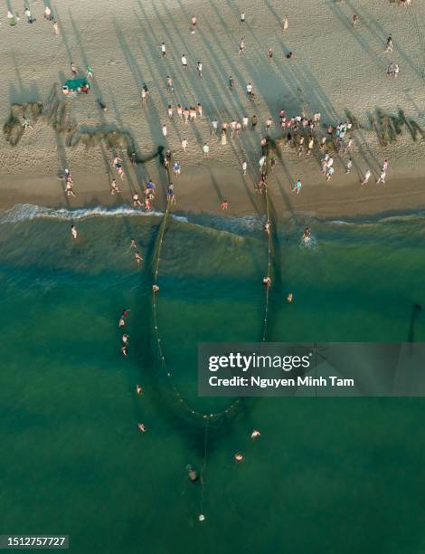 aerial photo of pulling nets near the shore at my khe beach, da nang city - river han stock pictures, royalty-free photos & images