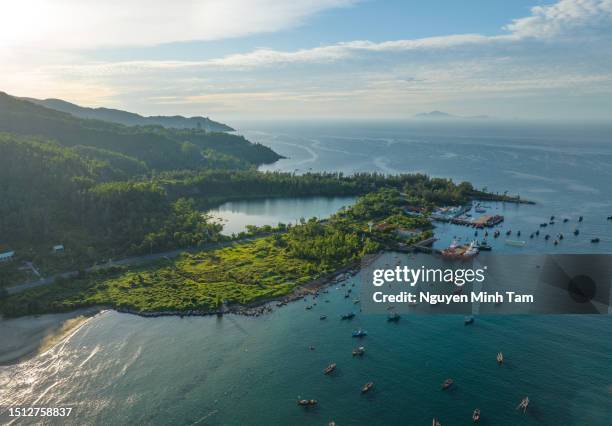 early morning in son tra peninsula, da nang city - schiereiland stockfoto's en -beelden