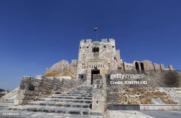 General view shows Aleppo's historical citadel on September 4, 2012. AFP PHOTO/JOSEPH EID