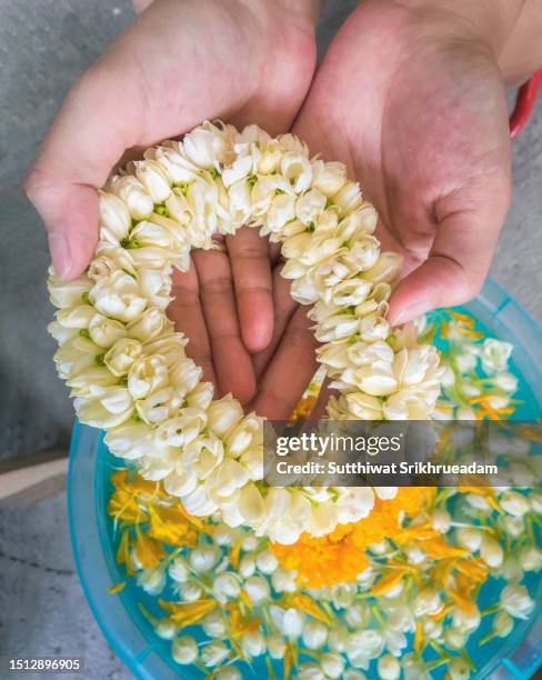 cropped of hand holding jasmine garland - jasmine stock pictures, royalty-free photos & images