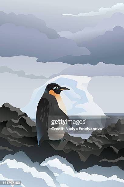 lone penguin - single rain cloud stock illustrations