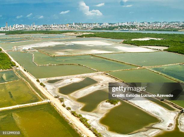 shrimp farming - ブラジル ナタール ストックフォトと画像