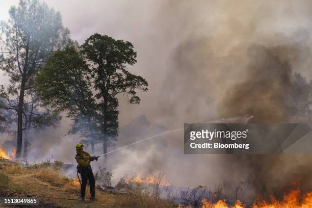 CalFire firefighter uses a hose during a prescribed burn in Groveland, California, US, on Thursday, July 6, 2023. The burn operation aims to reduce...