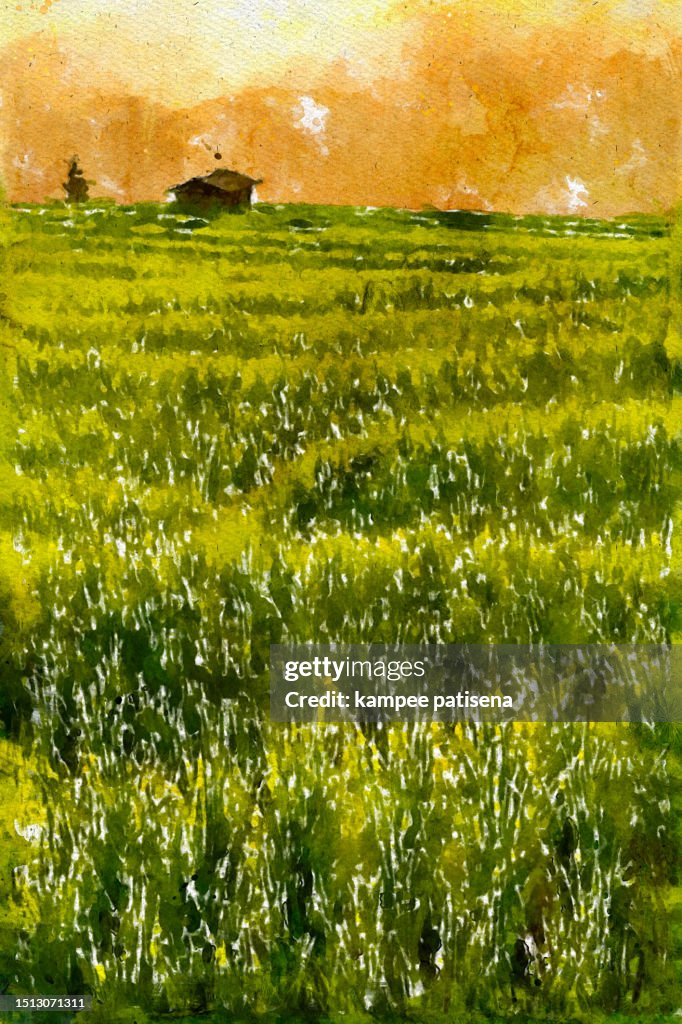 Vibrant Abstract Watercolor Painting of a Sunset Over Terraced Rice Fields