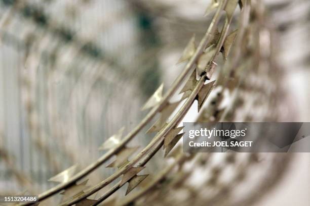 Picture of barbed wire seen, 09 October 2007 at France's Milipol global security trade fair in Paris. Buyers from police forces and private security...