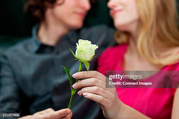man giving rose to woman - caballerosidad fotografías e imágenes de stock
