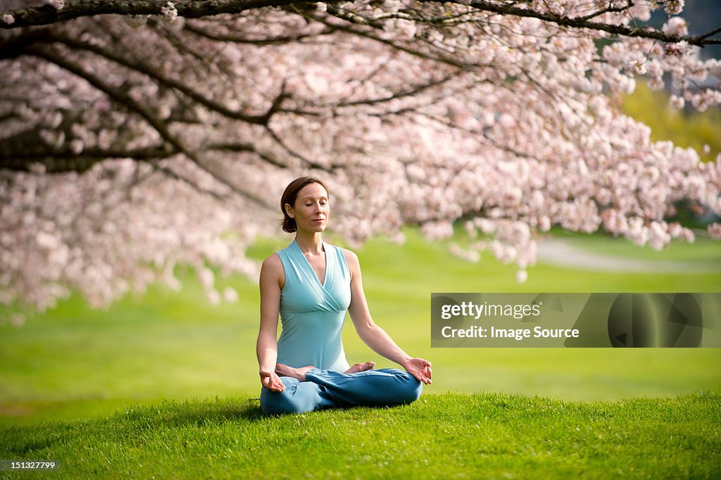 Woman in lotus position under cherry tree