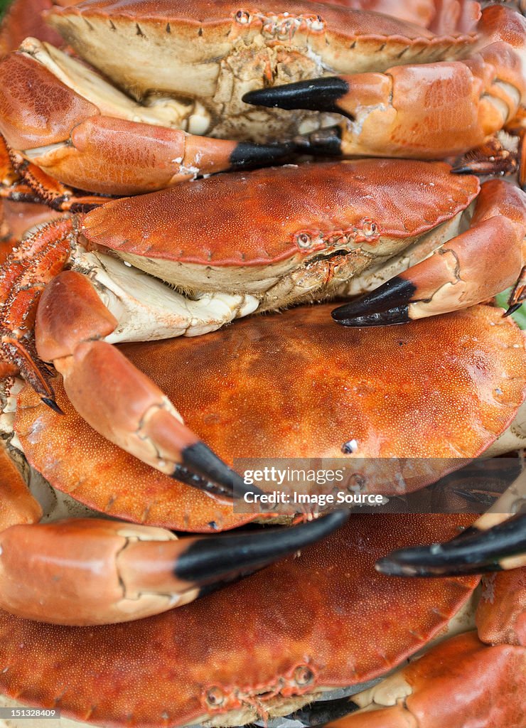 Stack of crabs