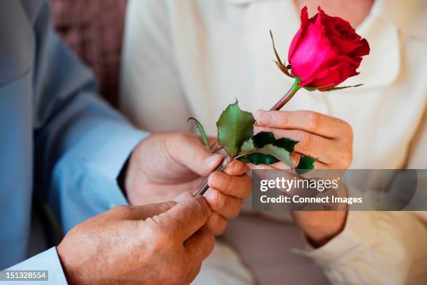 Giving Roses 1,333 Man Giving Woman Roses Stock Photos, High-Res Pictures, and ...