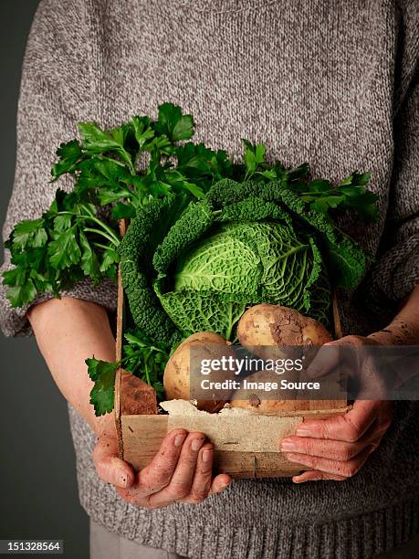 woman holding wooden crate of vegetables - green jumper stock pictures, royalty-free photos & images