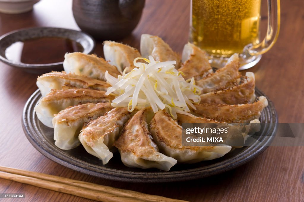 Hamamatsu Gyoza