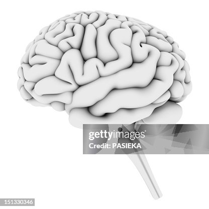 Brain, artwork Brain, artwork