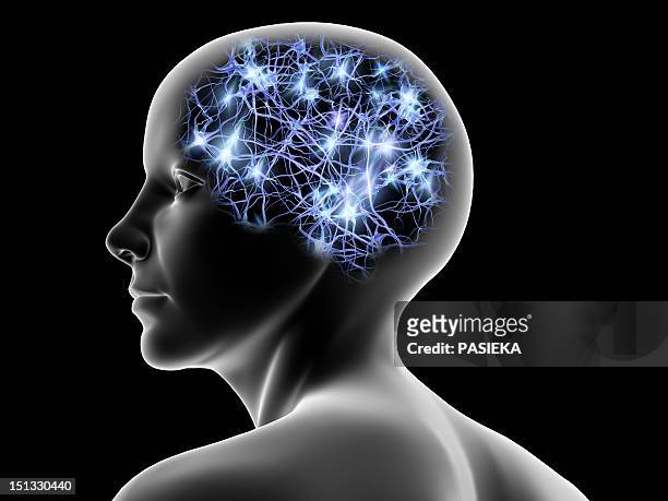 ilustraciones, imágenes clip art, dibujos animados e iconos de stock de female head and nerve cells, artwork - neurone