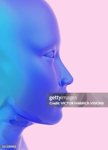 human face in profile, artwork - forehead stock illustrations