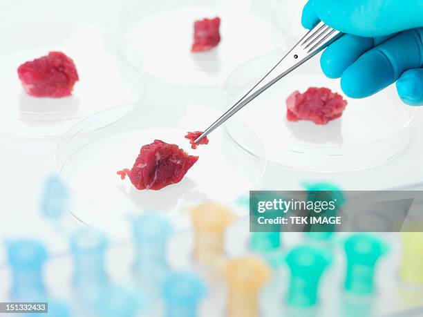 Food Science Meat 3,656 Food Science Meat Stock Photos, High-Res Pictures, and Images ...