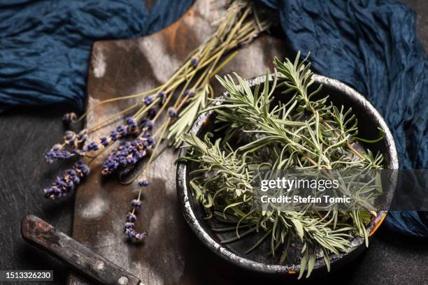 foglie e fiori della pianta di lavanda - rosmarino foto e immagini stock