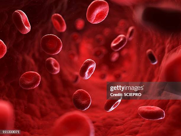 red blood cells, artwork - blutzellen stock-grafiken, -clipart, -cartoons und -symbole