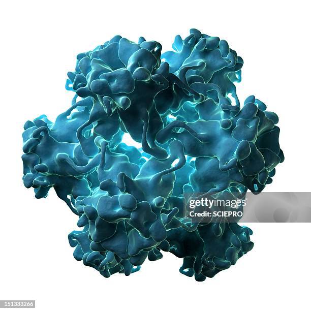 human papilloma virus particle - human papilloma virus stock illustrations