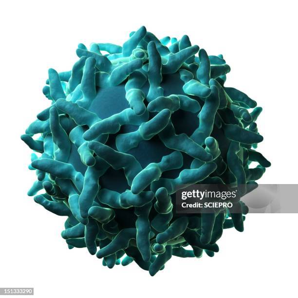 yellow fever virus particle - yellow fever stock illustrations