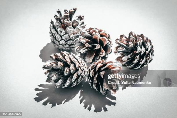 christmas or new year background with cones on a light background. - pine cone stock pictures, royalty-free photos & images