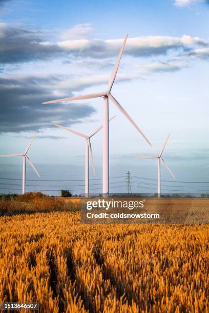 wind turbines at a wind farm in agricultural landscape during golden hour - wind turbine stock pictures, royalty-free photos & images