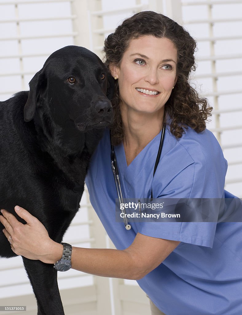 Female veterinary surgeon treating a dog