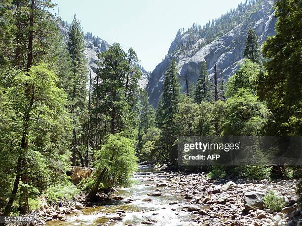 View of Yosemite Valley in Yosemite National Park taken on June 25 during the time when Hantavirus victims contracted the disease while staying in...