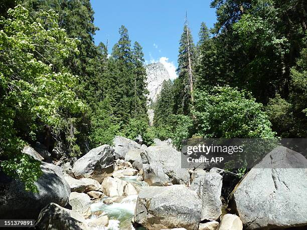 View of the Merced river in Yosemite National Park taken on June 25 during the time when Hantavirus victims contracted the disease while staying in...
