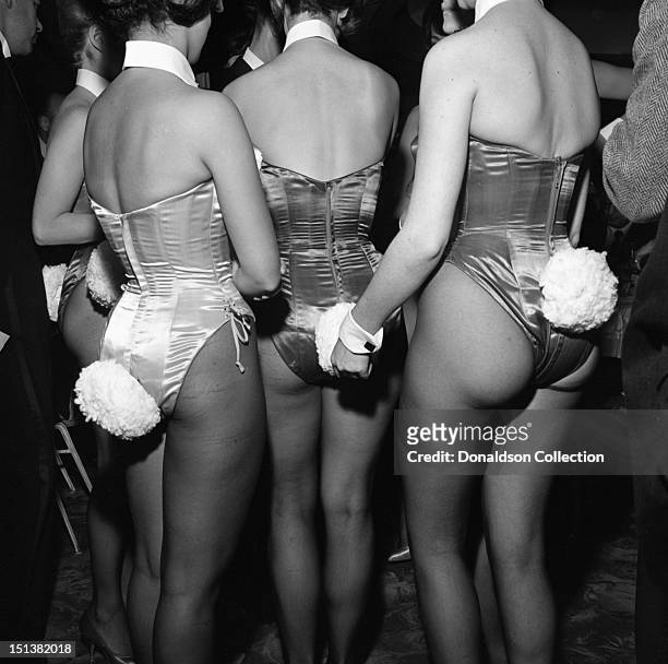 Group of Playboy Bunnies photographed from behind with their white bunny tails showing at a dinner for the Motion Picture Pioneers Association at the...