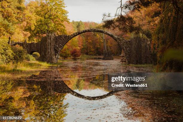 germany, saxony, view ofrakotzbrucke bridge in autumn - bogenbrücke stock-fotos und bilder