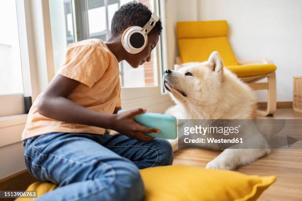 smiling boy with smart phone looking at dog - cushion photos et images de collection