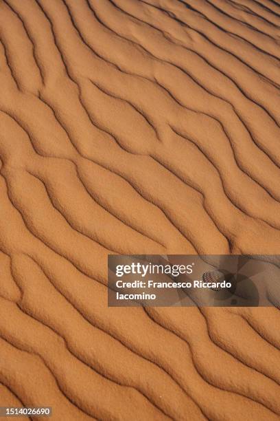 textures on the sand, shell - africa sunset stock pictures, royalty-free photos & images