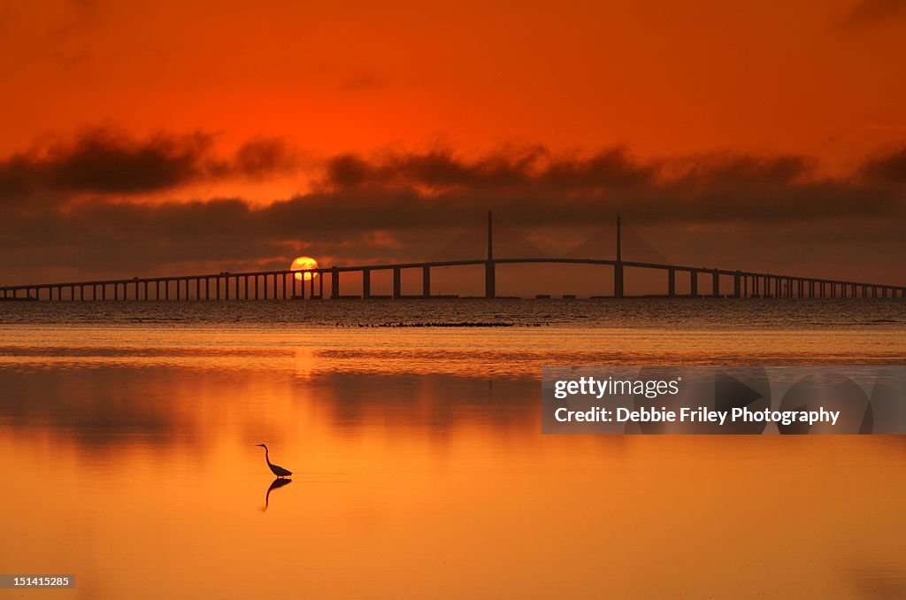 Skyway bridge