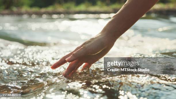 closeup hand woman touching water in the forest river in vacation with camping at morning. lifestyle travel nature. - zuiverheid stockfoto's en -beelden