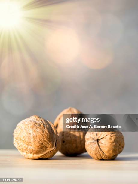 group of walnuts in shell illuminated by sunlight. - walnut wood stock pictures, royalty-free photos & images