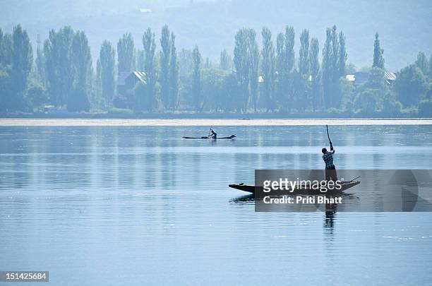 dal lake - priti bhatt stock pictures, royalty-free photos & images