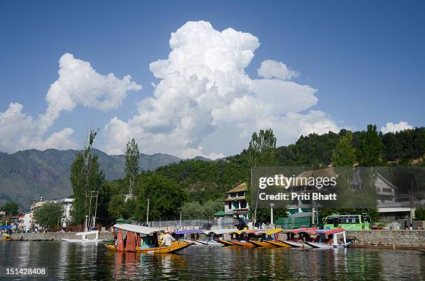 boats in dal lake - priti bhatt stock pictures, royalty-free photos & images