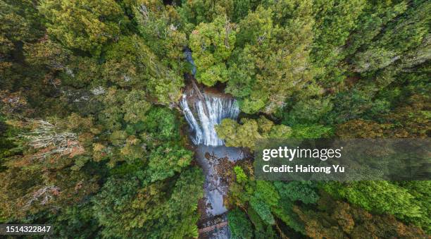 bridal veil fall in tasmania forest - australia rainforest stock pictures, royalty-free photos & images