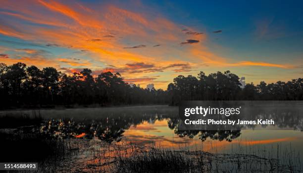 everglades sunrise - wildlife reserve stock pictures, royalty-free photos & images