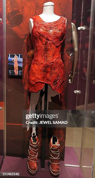 The raw meat dress worn by Lady Gaga at a 2010 awards ceremony is seen at the "Women Who Rock; Vision, Passion, Power" exhibition at the National...
