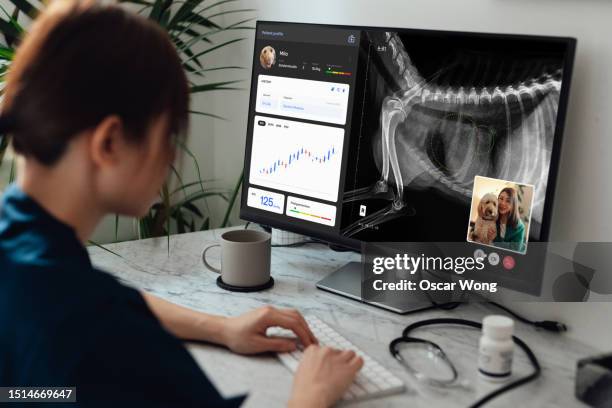 Vets Using A Computer 382 Vet Computer Screen Stock Photos, High-Res Pictures, and Images ...