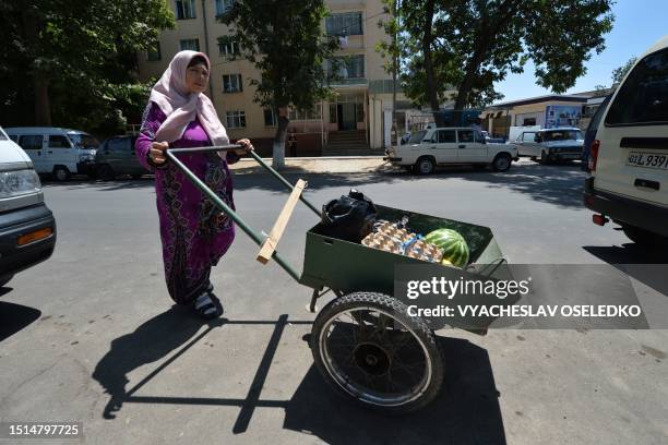 Woman pushes a cart in Krasnogorsk, some 60kms from Tashkent, on July 8, 2023.