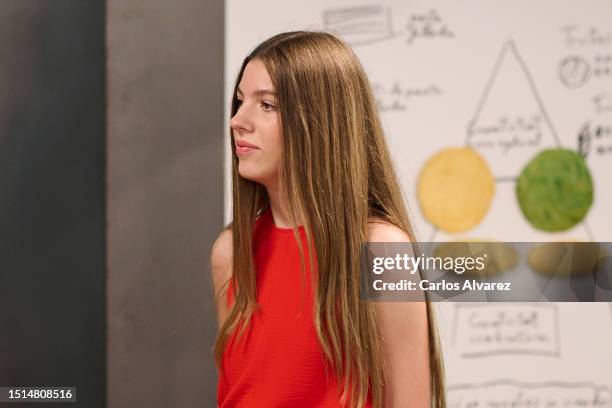 Princess Sofia of Spain attends a meeting-Workshop on Innovation, teamwork and creativity, with Spanish chef Ferran Adrià at the elBulli1846 in Roses...