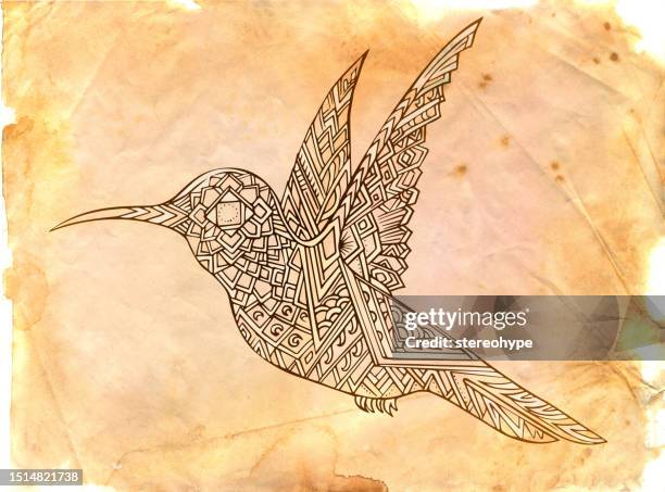 parchment hummingbird - cloud forest stock illustrations