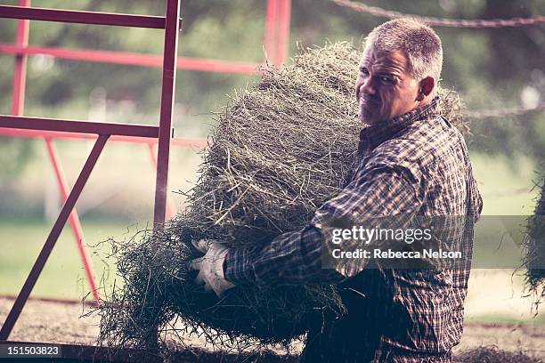 man carrying bale of hay - effort work stock pictures, royalty-free photos & images