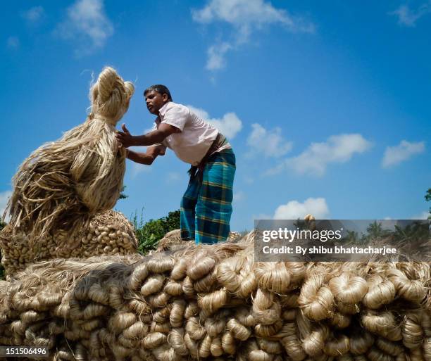 man with jute stack - bangladeshi man stock pictures, royalty-free photos & images