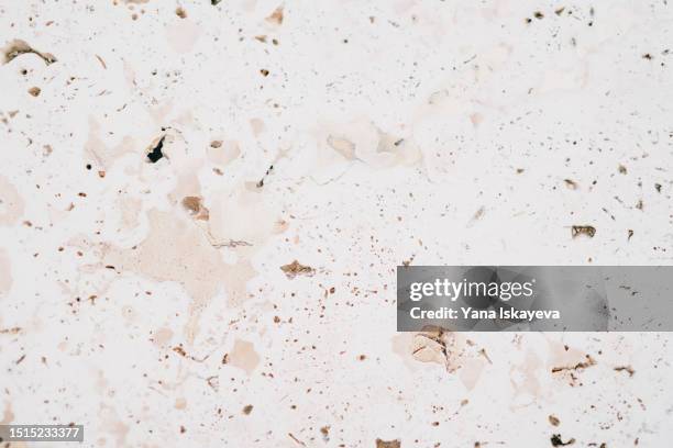 crackled marble blank ivory surface, space for text copy - coral colored stock pictures, royalty-free photos & images