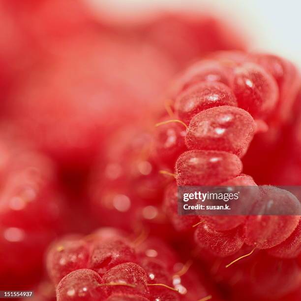 Macro Raspberry 1,725 Macro Raspberries Stock Photos, High-Res Pictures, and Images ...